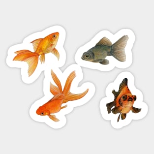 Golden fishes Sticker